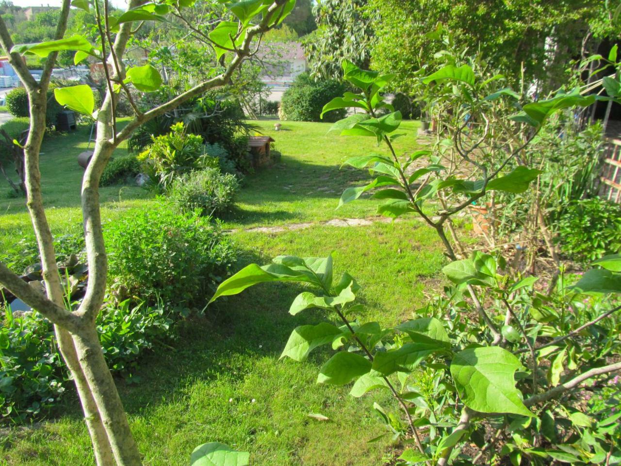 Apartman Ladybird Pula Exterior photo